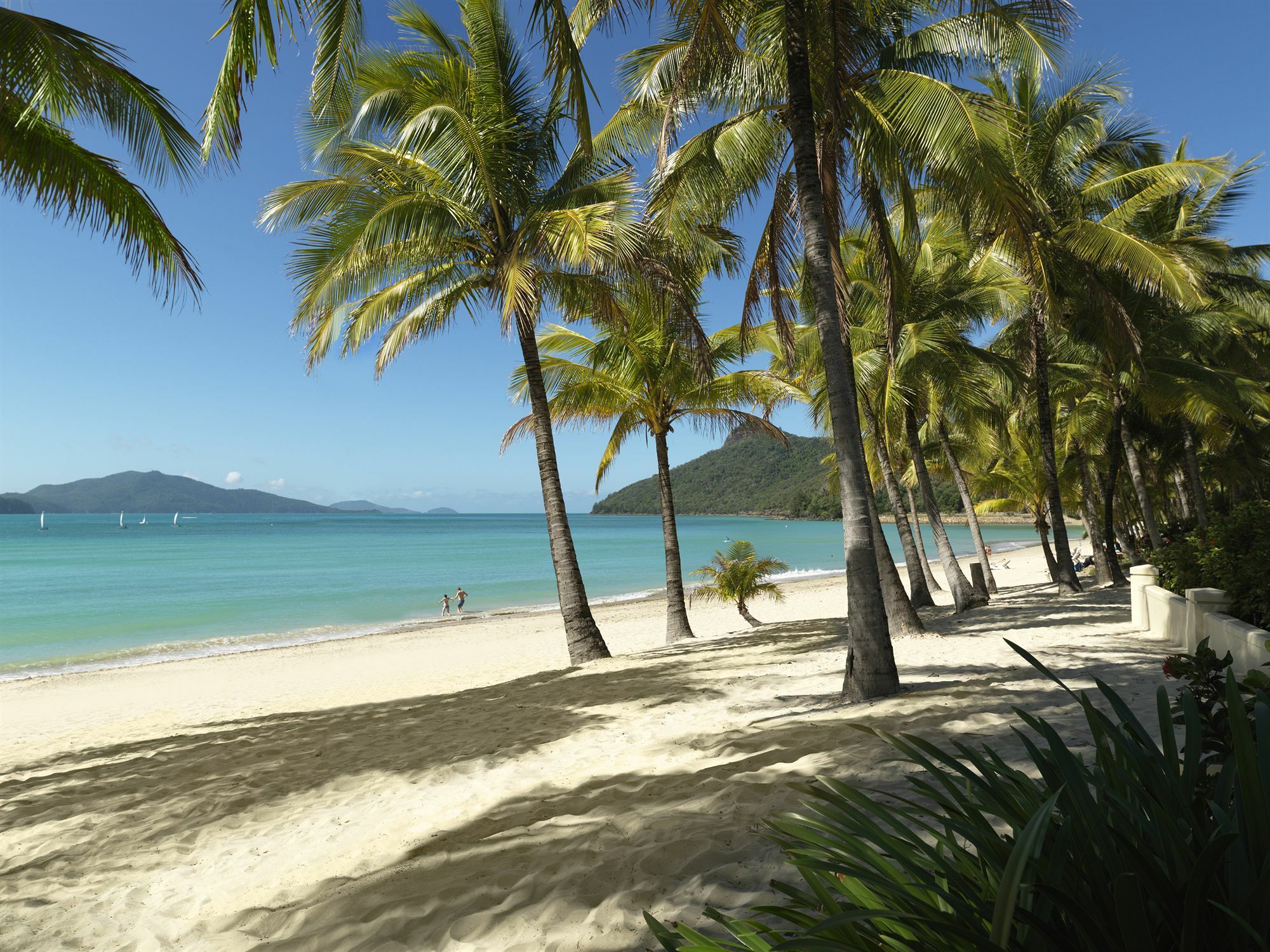 Palm Bungalows Hamilton Island Exterior foto