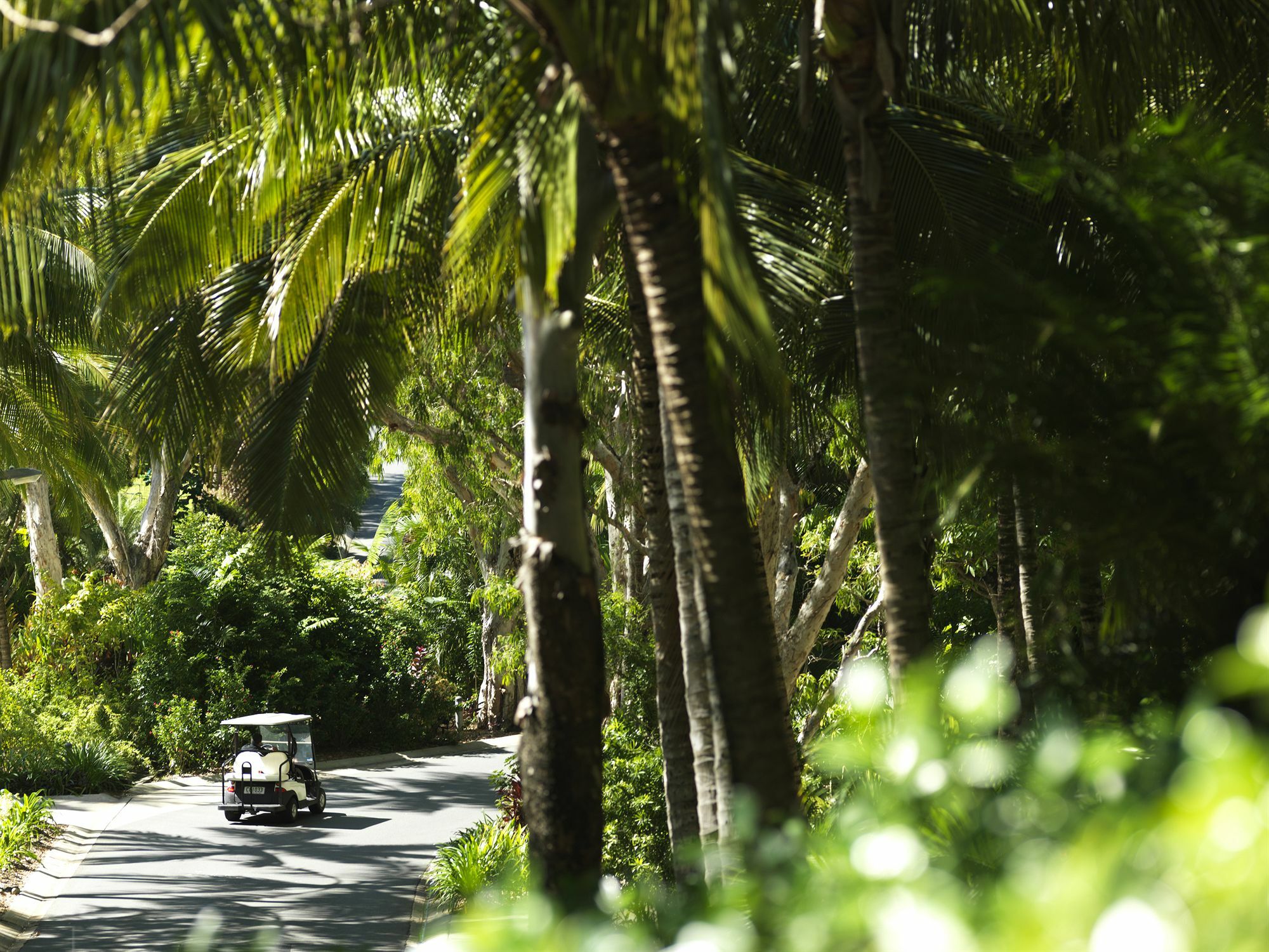Palm Bungalows Hamilton Island Exterior foto